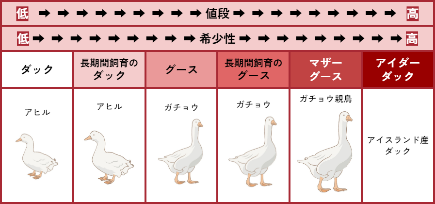 羽毛布団の寿命は10年～20年！買い替えの判断ポイントと30年以上使う